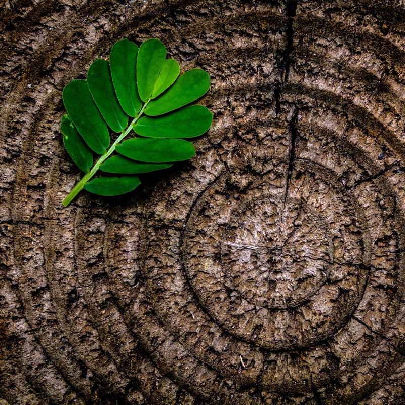 Onze kijk op Huysackers