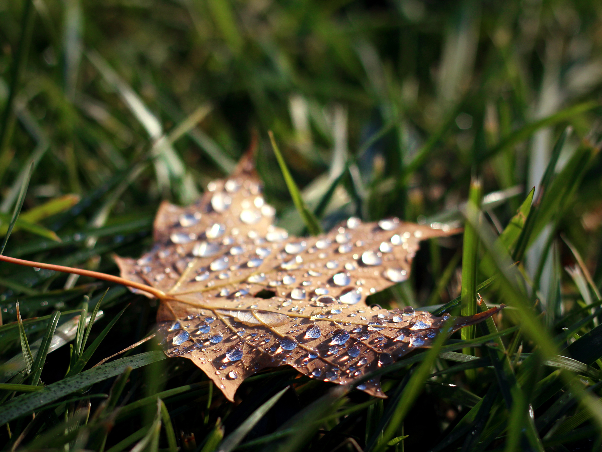 Aanmelden bouwkavels